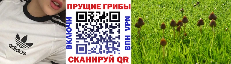 Галлюциногенные грибы ЛСД  Невинномысск 